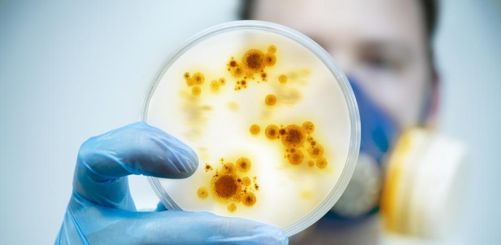 La amenaza silenciosa de las superbacterias: un desafío creciente para la salud pública. Crisis global de resistencia antimicrobiana